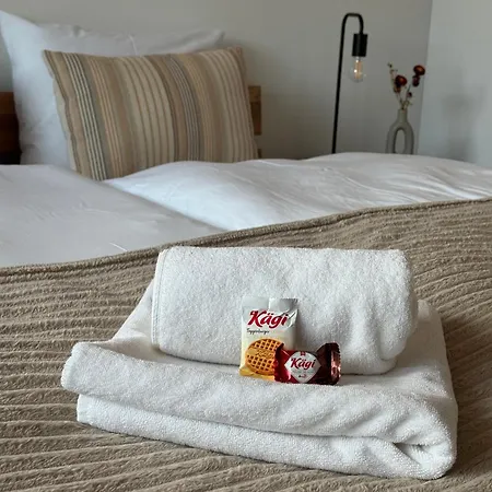 Lägenhet Louisa's Loft - Stilvolle & Zentral Gelegene Mit Whirlpool Und Bergblick - Nahe Piste, Loipe Und Wandergebiet Im Toggenburg Alt St. Johann