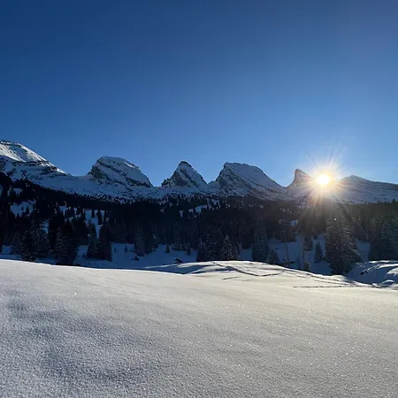 Louisa's Loft - Stilvolle & Zentral Gelegene Mit Whirlpool Und Bergblick - Nahe Piste, Loipe Und Wandergebiet Im Toggenburg