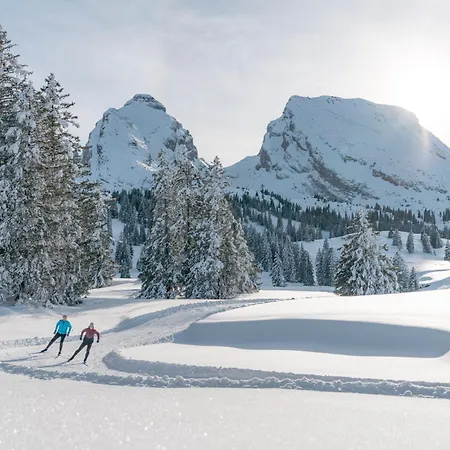 Louisa's Loft - Stilvolle & Zentral Gelegene Mit Whirlpool Und Bergblick - Nahe Piste, Loipe Und Wandergebiet Im Toggenburg Lägenhet *