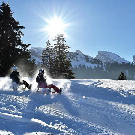 Lägenhet Louisa's Loft - Stilvolle & Zentral Gelegene Mit Whirlpool Und Bergblick - Nahe Piste, Loipe Und Wandergebiet Im Toggenburg