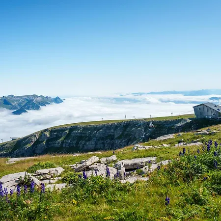 Louisa's Loft -whirlpool - Berge & Wandern - Abendruhe - Familien- & Gruppenfreundlich - 1h Von Zuerich Apartman *
