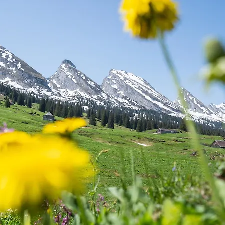 Louisa's Loft - Stilvolle & Zentral Gelegene Mit Whirlpool Und Bergblick - Nahe Piste, Loipe Und Wandergebiet Im Toggenburg Alt St. Johann
