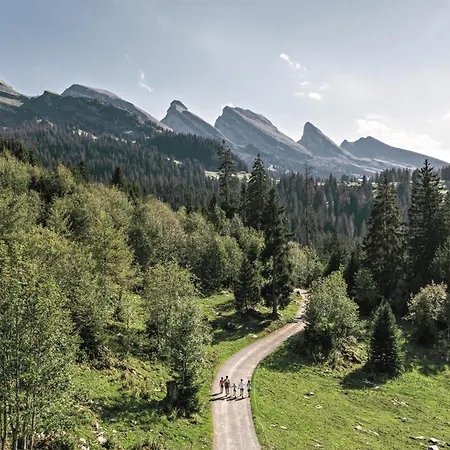 Louisa's Loft -whirlpool - Berge & Wandern - Abendruhe - Familien- & Gruppenfreundlich - 1h Von Zuerich Apartman Alt St. Johann