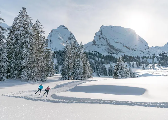 Louisa's Loft - Stilvolle & Zentral Gelegene Mit Whirlpool Und Bergblick - Nahe Piste, Loipe Und Wandergebiet Im Toggenburg شقة *
