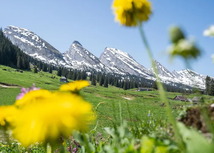 Louisa's Loft - Stilvolle Mit Whirlpool & Bergblick - Wandern & Letzte Skitage Im Toggenburg - Swiss Alps Alt St. Johann