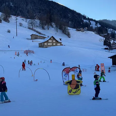 Louisa's Loft -whirlpool - Berge & Wandern - Abendruhe - Familien- & Gruppenfreundlich - 1h Von Zuerich